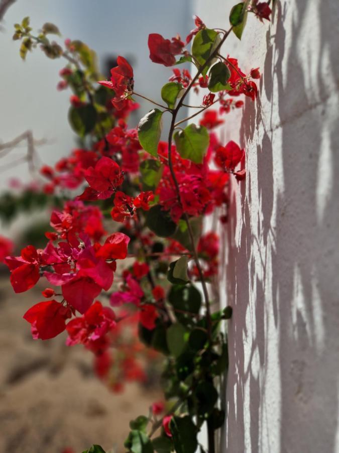 Apartamento Casa Vivi Fuerteventura Corralejo Exterior foto